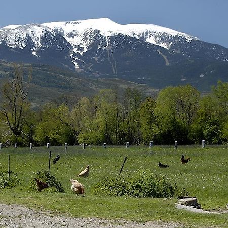 Mas Mallol Puigcerdà Dış mekan fotoğraf